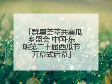 群星荟萃共襄瓜乡盛会 中国·东明第二十届西瓜节开幕式启幕