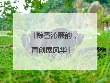 粽香沁廉韵，青创展风华