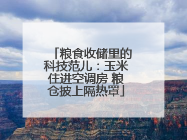粮食收储里的科技范儿：玉米住进空调房 粮仓披上隔热罩