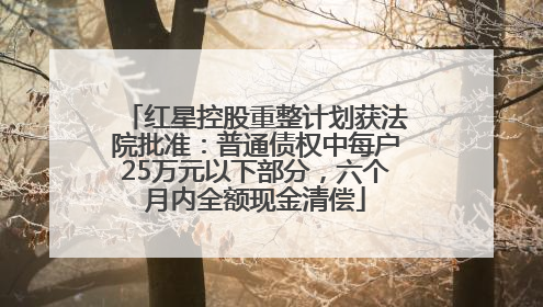 红星控股重整计划获法院批准：普通债权中每户25万元以下部分，六个月内全额现金清偿