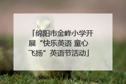 绵阳市金峰小学开展“快乐英语 童心飞扬”英语节活动