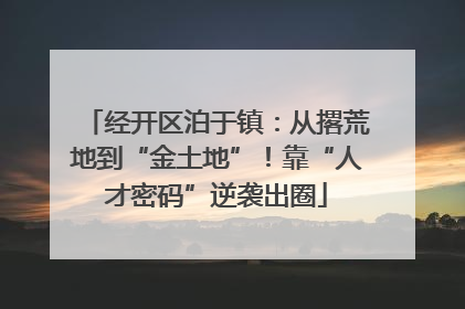 经开区泊于镇：从撂荒地到“金土地”！靠“人才密码”逆袭出圈