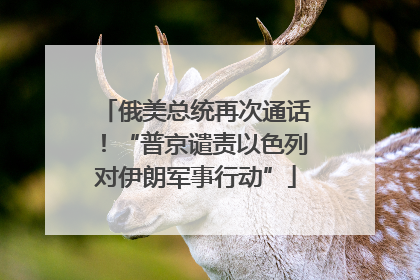 俄美总统再次通话！“普京谴责以色列对伊朗军事行动”