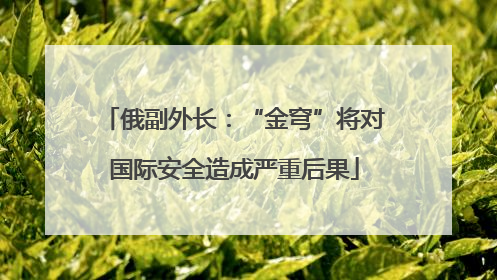 俄副外长：“金穹”将对国际安全造成严重后果