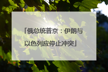 俄总统普京：伊朗与以色列应停止冲突