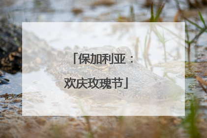 保加利亚：欢庆玫瑰节