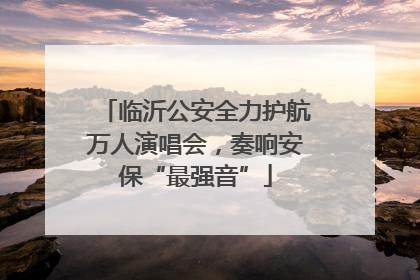 临沂公安全力护航万人演唱会，奏响安保“最强音”