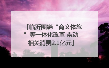 临沂围绕“商文体旅”等一体化改革 带动相关消费2.1亿元