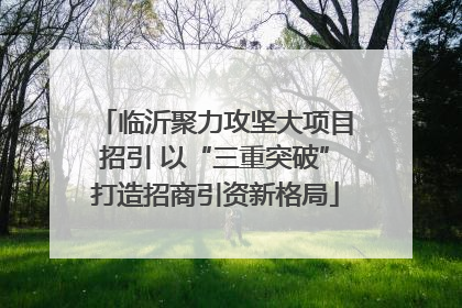 临沂聚力攻坚大项目招引 以“三重突破”打造招商引资新格局