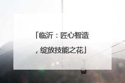 临沂：匠心智造，绽放技能之花