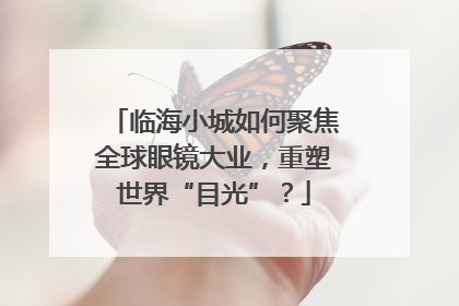 临海小城如何聚焦全球眼镜大业，重塑世界“目光”？