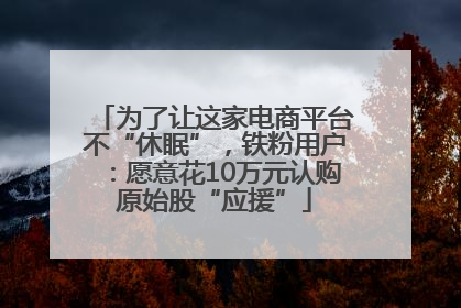 为了让这家电商平台不“休眠”，铁粉用户：愿意花10万元认购原始股“应援”