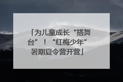 为儿童成长“搭舞台”！“红梅少年”暑期夏令营开营