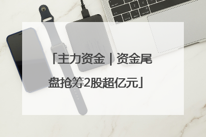 主力资金｜资金尾盘抢筹2股超亿元