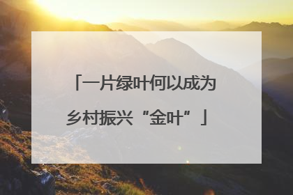 一片绿叶何以成为乡村振兴“金叶”