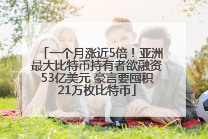 一个月涨近5倍！亚洲最大比特币持有者欲融资53亿美元 豪言要囤积21万枚比特币