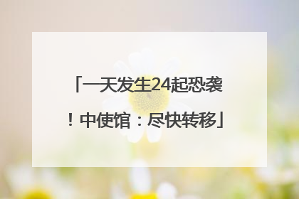 一天发生24起恐袭！中使馆：尽快转移