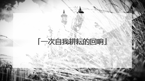 一次自我耕耘的回响