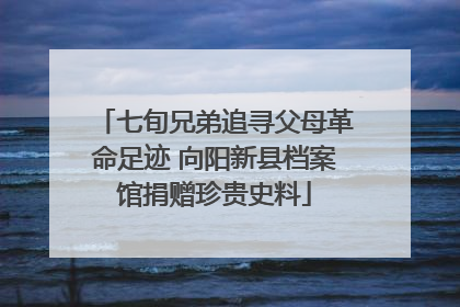 七旬兄弟追寻父母革命足迹 向阳新县档案馆捐赠珍贵史料