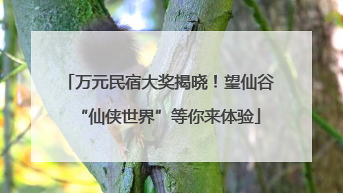万元民宿大奖揭晓！望仙谷“仙侠世界”等你来体验