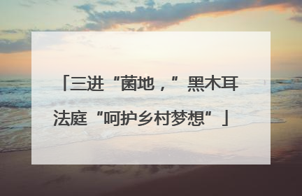 三进“菌地，”黑木耳法庭“呵护乡村梦想”