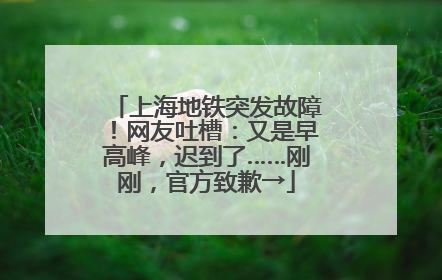 上海地铁突发故障！网友吐槽：又是早高峰，迟到了……刚刚，官方致歉→