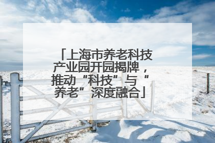 上海市养老科技产业园开园揭牌，推动“科技”与“养老”深度融合