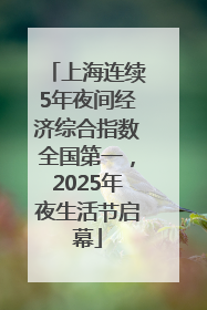 上海连续5年夜间经济综合指数全国第一，2025年夜生活节启幕