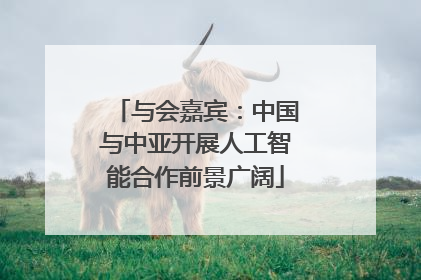 与会嘉宾：中国与中亚开展人工智能合作前景广阔