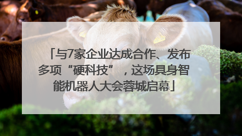 与7家企业达成合作、发布多项“硬科技”，这场具身智能机器人大会蓉城启幕