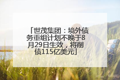 世茂集团：境外债务重组计划不晚于8月29日生效，将削债115亿美元