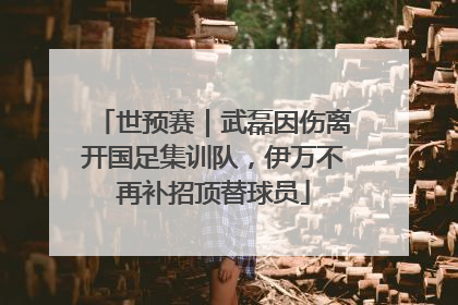 世预赛｜武磊因伤离开国足集训队，伊万不再补招顶替球员
