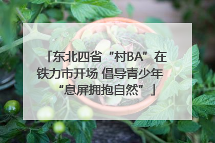东北四省“村BA”在铁力市开场 倡导青少年“息屏拥抱自然”