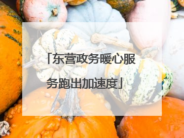 东营政务暖心服务跑出加速度