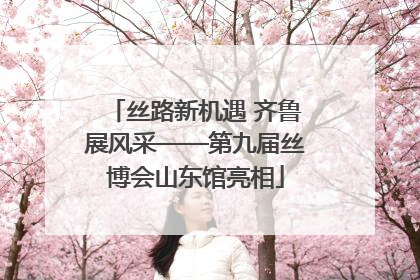 丝路新机遇 齐鲁展风采——第九届丝博会山东馆亮相