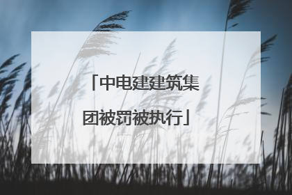 中电建建筑集团被罚被执行