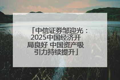 中信证券邹迎光：2025中国经济开局良好 中国资产吸引力持续提升