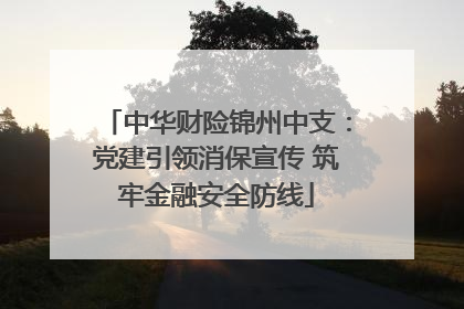 中华财险锦州中支：党建引领消保宣传 筑牢金融安全防线