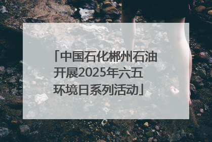 中国石化郴州石油开展2025年六五环境日系列活动