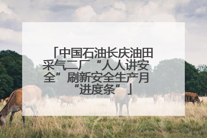 中国石油长庆油田采气二厂“人人讲安全”刷新安全生产月“进度条”