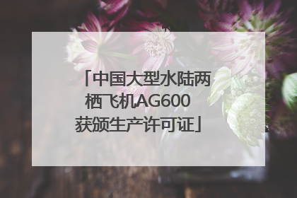 中国大型水陆两栖飞机AG600获颁生产许可证