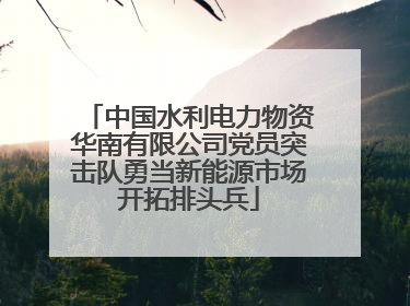 中国水利电力物资华南有限公司党员突击队勇当新能源市场开拓排头兵