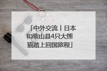 中外交流丨日本和歌山县4只大熊猫踏上回国旅程