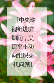 中央巡视组进驻期间，吴建平主动向组织交代问题