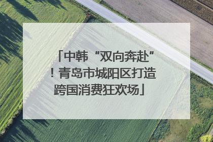 中韩“双向奔赴”！青岛市城阳区打造跨国消费狂欢场
