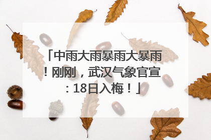 中雨大雨暴雨大暴雨！刚刚，武汉气象官宣：18日入梅！