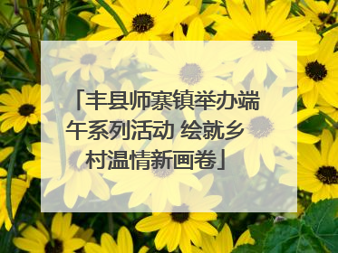 丰县师寨镇举办端午系列活动 绘就乡村温情新画卷