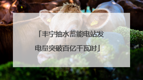 丰宁抽水蓄能电站发电量突破百亿千瓦时