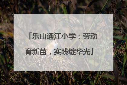 乐山通江小学：劳动育新苗，实践绽华光