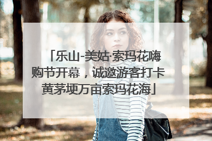 乐山-美姑·索玛花嗨购节开幕，诚邀游客打卡黄茅埂万亩索玛花海